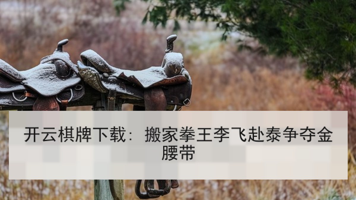 开云棋牌下载: 搬家拳王李飞赴泰争夺金腰带
