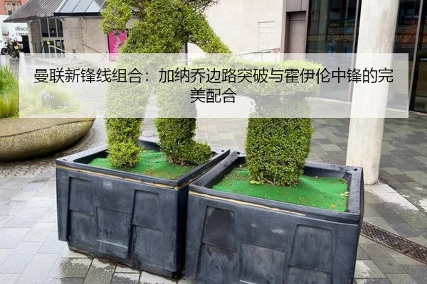 man-lian-xin-feng-xian-zu-he-jia-na-qiao-bian-lu-tu-po-yu-huo-yi-lun-zhong-feng-de-wan-mei-pei-he-2-739.jpg