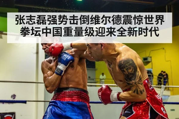 张志磊强势击倒维尔德震惊世界拳坛中国重量级迎来全新时代