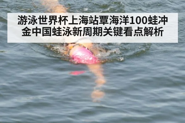 游泳世界杯上海站覃海洋100蛙冲金中国蛙泳新周期关键看点解析